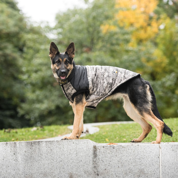 Army Dog Jacket - Camo